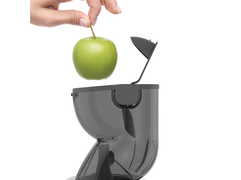 Blender MOULINEX Slowjuicer
