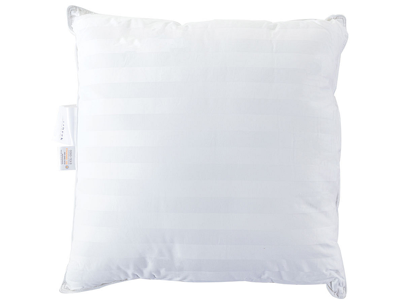 Oreiller FEELINGS BB SPIRIT 65x65cm