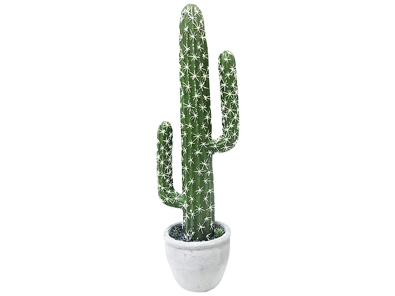 Kaktus NATURAL ETHNIQUE