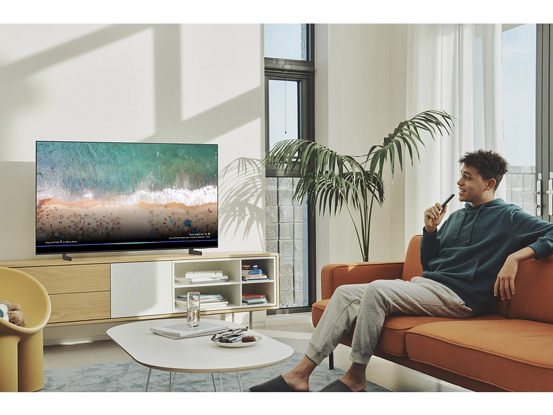 QLED-Fernseher SAMSUNG 65'''/163 cm